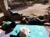 Siesta